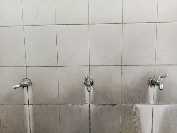 Best Flood damage cleanup  in Maria Stein, OH