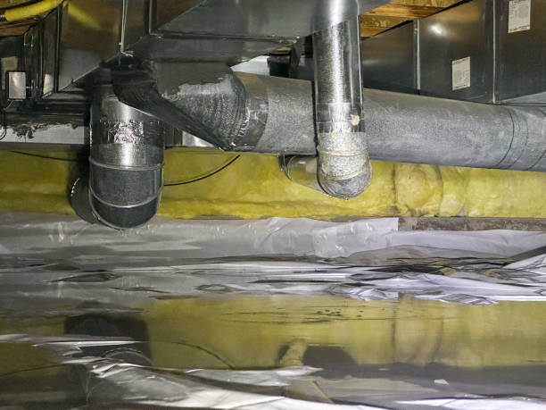 Best Fire Damage Restoration  in Maria Stein, OH