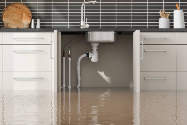 Best Water damage restoration near me  in Maria Stein, OH