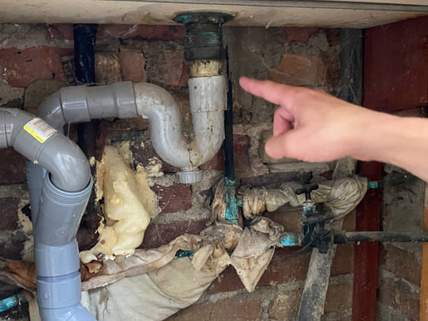 Best Water damage restoration near me  in Maria Stein, OH