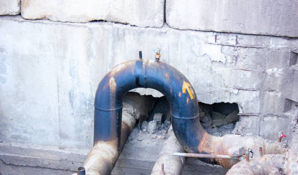 Best Water damage repair service  in Maria Stein, OH